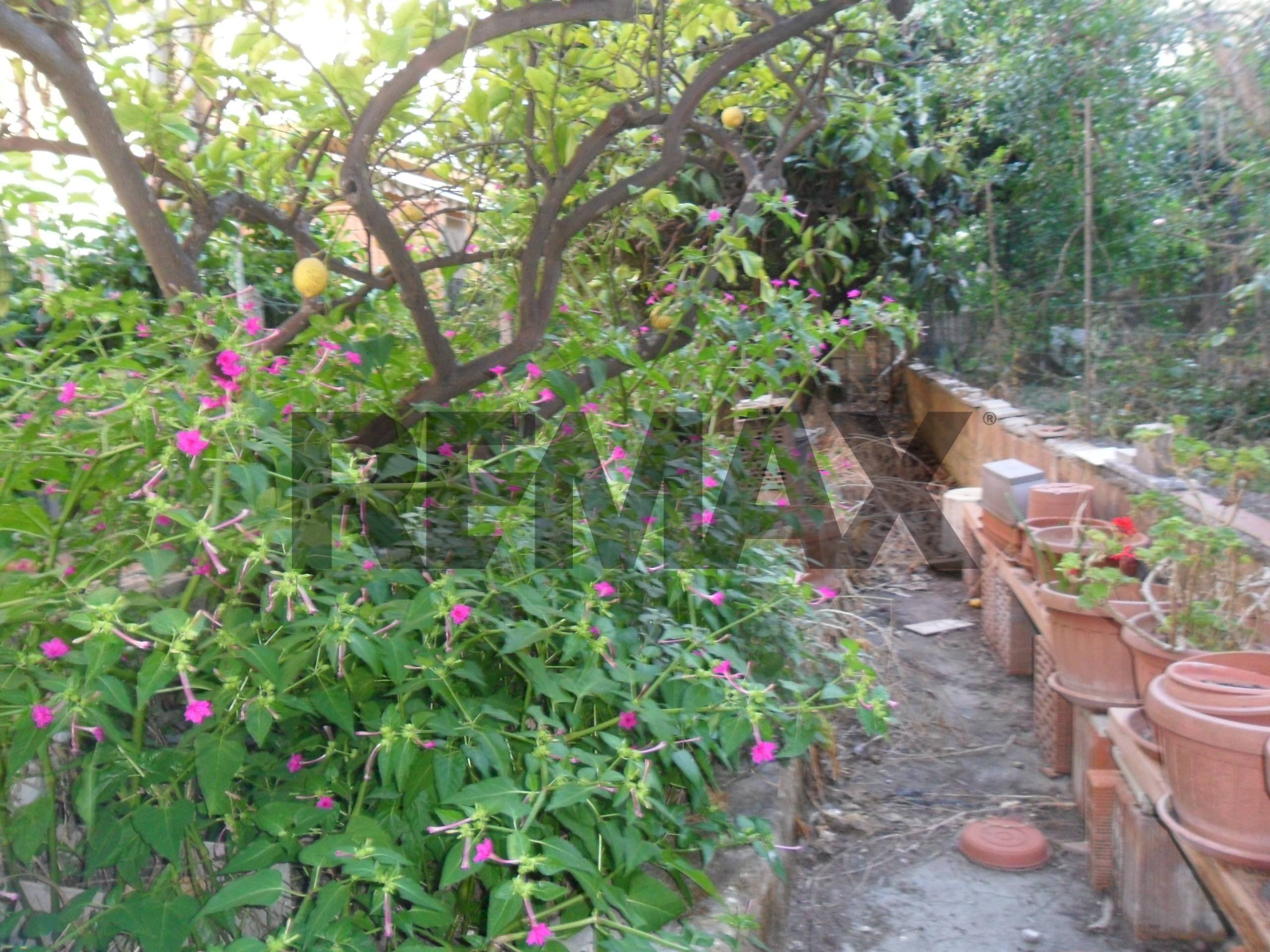 Giardino - Independent house Via Sicilia
8-10, Pietraperzia - photo 3