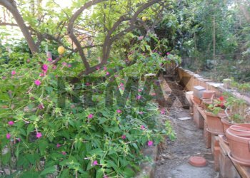 Giardino - Independent house Via Sicilia
 
8-10, Pietraperzia - photo 3
