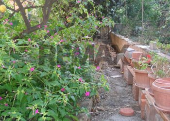 Giardino - Independent house Via Sicilia
 
8-10, Pietraperzia - photo 4