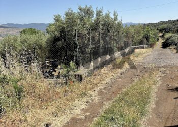 Giardino - Agricultural land contrada tartaraci
snc, Bronte - photo 2