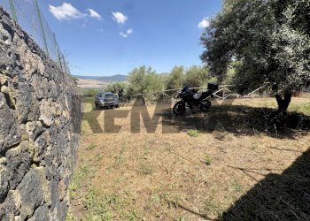Giardino - Agricultural land contrada tartaraci
snc, Bronte - photo 8