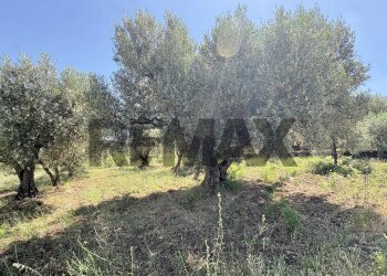Giardino - Agricultural land contrada tartaraci
snc, Bronte - photo 18
