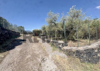 Giardino - Agricultural land contrada tartaraci
snc, Bronte - photo 19