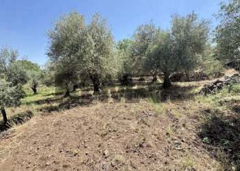 Giardino - Agricultural land contrada tartaraci
snc, Bronte - photo 23