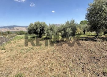 Giardino - Agricultural land contrada tartaraci
snc, Bronte - photo 25