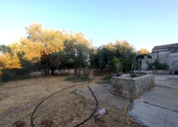Giardino - Terreno agricolo contrada cavasecca
 
senza numero, Noto - foto 6