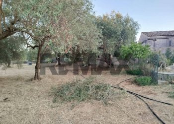 Giardino - Terreno agricolo contrada cavasecca
 
senza numero, Noto - foto 20