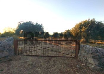 Giardino - Terreno agricolo contrada cavasecca
 
senza numero, Noto - foto 21