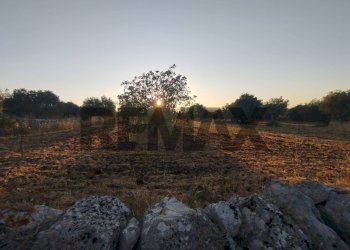 Giardino - Terreno agricolo contrada cavasecca
 
senza numero, Noto - foto 30
