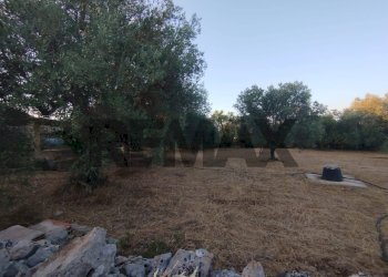Giardino - Terreno agricolo contrada cavasecca
 
senza numero, Noto - foto 31