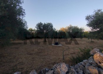 Giardino - Terreno agricolo contrada cavasecca
 
senza numero, Noto - foto 32