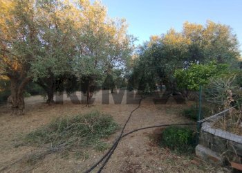Giardino - Terreno agricolo contrada cavasecca
 
senza numero, Noto - foto 35