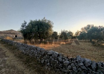 Giardino - Terreno agricolo contrada cavasecca
 
senza numero, Noto - foto 37