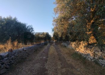 Non correlato - Terreno agricolo contrada cavasecca
 
senza numero, Noto - foto 38