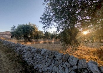 Giardino - Terreno agricolo contrada cavasecca
 
senza numero, Noto - foto 39