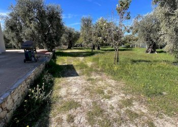 esterno - Villa Oro Di Puglia
 
SNC, Vieste - photo 18