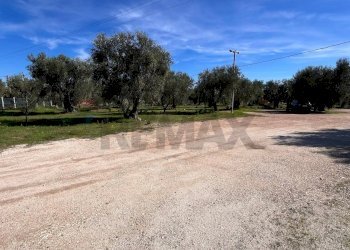 esterno - Villa Oro Di Puglia
 
SNC, Vieste - photo 19