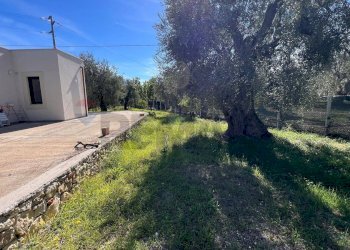 esterno - Villa Oro Di Puglia
 
SNC, Vieste - photo 20