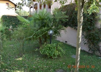 Giardino - One-room apartment VIA SIGNORELLI
 
167, Garbagnate Milanese - photo 7