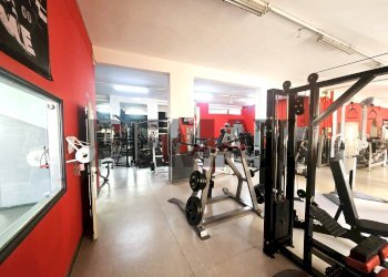 Palestra - Commercial Activity via raffaele viviani
44, Casoria - photo 4