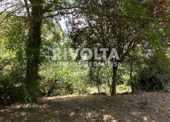 Foto 7 - Villa san martino della quercia
 
snc, Sutri - photo 7