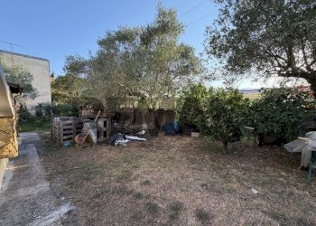 Giardino - Villa Ugo bassi
6, Aprilia - foto 40