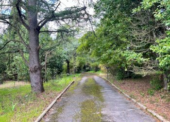 Foto 53 - Villa strada di mocenni, Castelnuovo Berardenga - foto 53