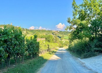 Foto 30 - Casa indipendente strada di poggioluglio, San Gimignano - foto 30