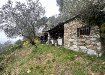 Foto 12 - Villa Via Costa Di Cantalupo
 
21, Genova - photo 12