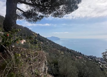Foto 28 - Villa Via Costa Di Cantalupo
 
21, Genova - photo 28