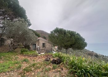 Foto 34 - Villa Via Costa Di Cantalupo
 
21, Genova - photo 34