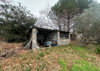 Foto 36 - Villa Via Costa Di Cantalupo
 
21, Genova - photo 36