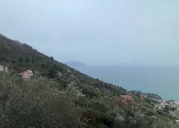 Foto 47 - Villa Via Costa Di Cantalupo
 
21, Genova - photo 47