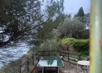 Foto 49 - Villa Via Costa Di Cantalupo
 
21, Genova - photo 49