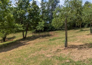 Foto 23 - Villa LOCALITA' RONCAGLIO CADRAZZOLE, Canossa - photo 23