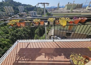 Four-room apartment VIA GASPARE MURTOLA 88, Genova (neighborhood Prà) - photo 21