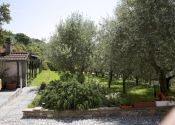 _29A5572 - Villa Fosdinovo - photo 18