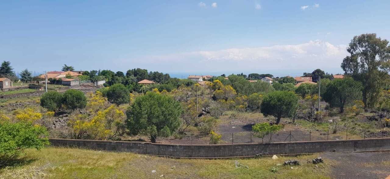 16.jpeg - Restaurant Pedara - photo 3