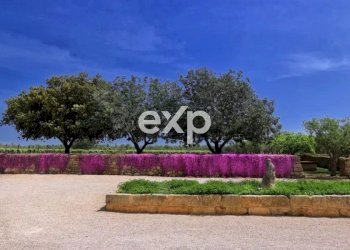 Villa Salve - photo 7