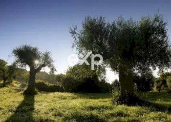 Villa Salve - photo 46
