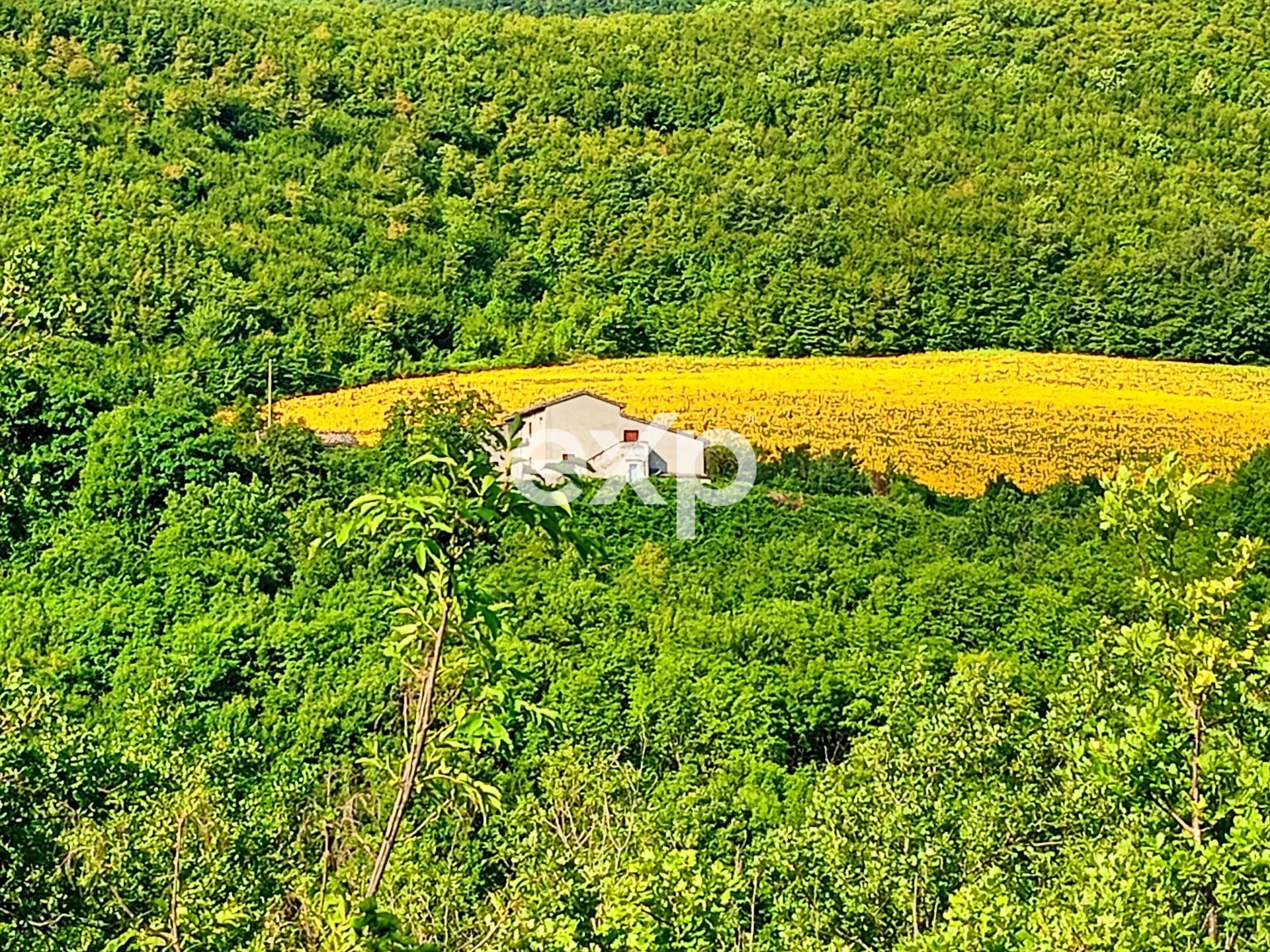 Villa Strada San Fiorano 270 cagli, Cagli - photo 1