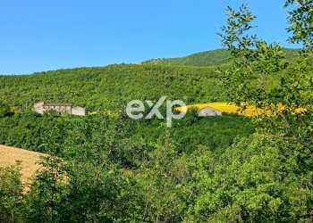 Villa Strada San Fiorano 270 cagli, Cagli - photo 57