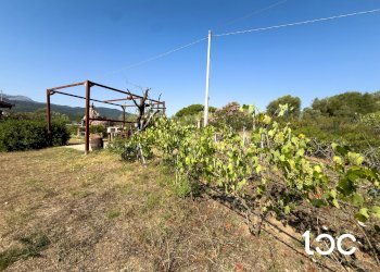 Villa Torpè - photo 26