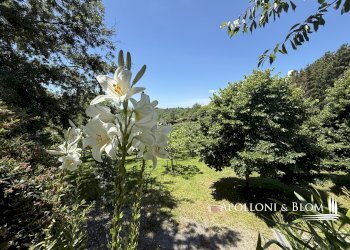 Villa Unifamiliare Monte Avaglio, Marliana - foto 36