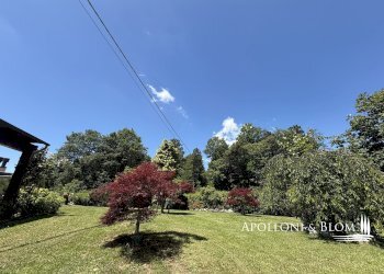 Villa Unifamiliare Monte Avaglio, Marliana - foto 41