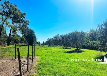 Single Family Villa Strada provinciale 19, 19, Chianciano Terme - photo 32