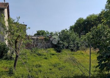 Casa indipendente Via regina margherita, Cercenasco - foto 5