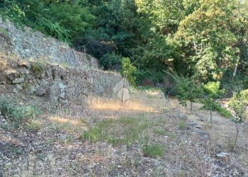 Agricultural land Str. Poggio Radino, Sanremo - photo 24