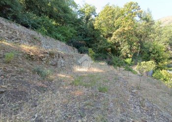 Agricultural land Str. Poggio Radino, Sanremo - photo 25