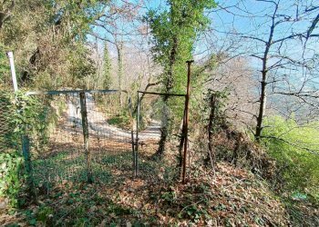 Agricultural land Str. Poggio Radino, Sanremo - photo 33